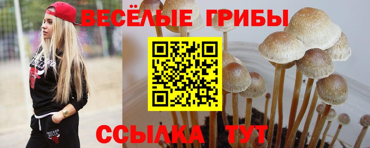 Псилоцибиновые грибы Cubensis  Вход с VPN  Бузулук  Галлюциногенные грибы Magic Shrooms 